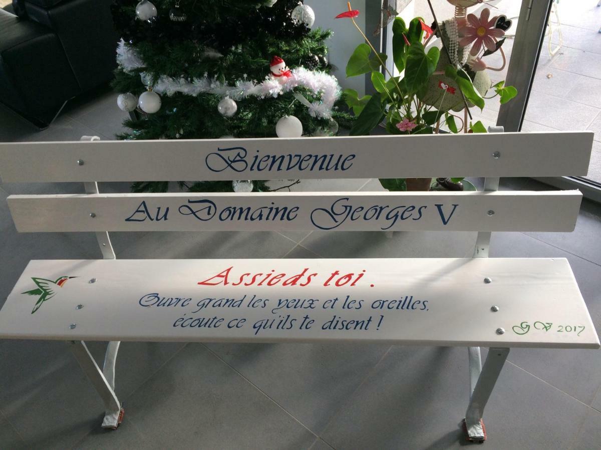 Domaine Georges V Bed and Breakfast Saint-Junien Buitenkant foto